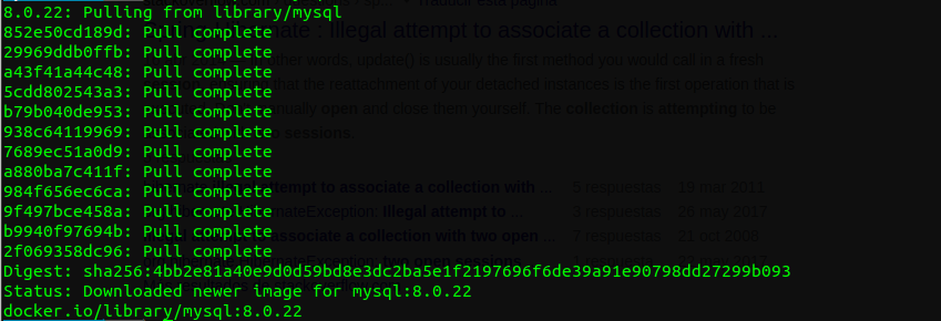 Resultado: docker pull mysql:8.0.22