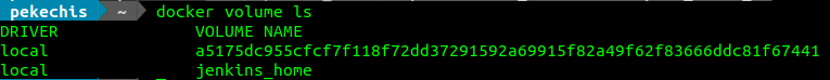 Obteniendo la lista de volúemes .docker
                          volume ls