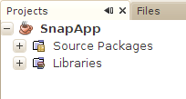 SnapApp in the Projects pane